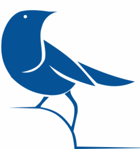 Blue Sparrow Digital Ltd